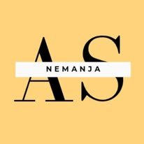 Auto Servis Nemanja Tim logo